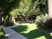 Banyan Hypnosis Center Courtyard Facility courtyard